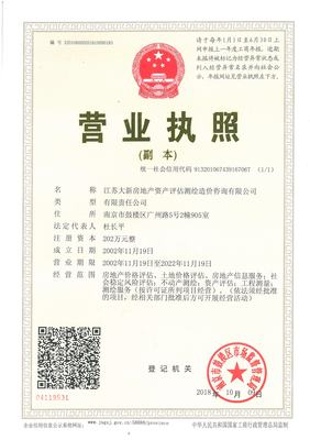 江苏大新资产 专业评估，赋能资产价值精确认知